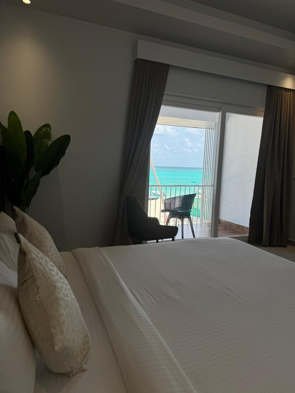 Horizon Nest photo 6