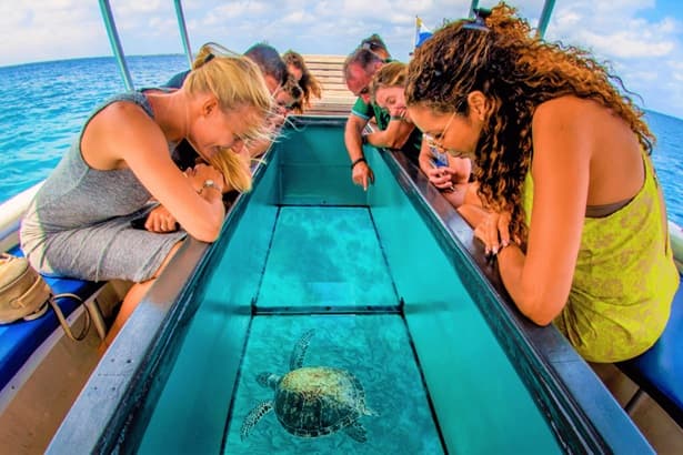 Glass Bottom Boating